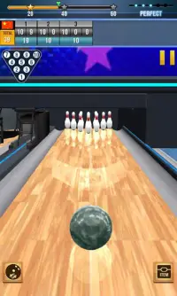 Real Bowling 3D World Champions Game Screen Shot 2