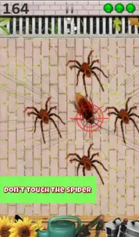 Cockroach Smasher by Best Cool & Fun Games Screen Shot 1
