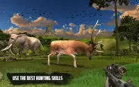 Safari Hunter Simulator Animal 2020 Screen Shot 7