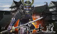 Last Samurai Ninja Assassin Screen Shot 0