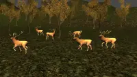 Moose Hunting 2016 Screen Shot 2