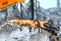 जंगली जानवरों शिकारी: स्निपर शूटर Screen Shot 8