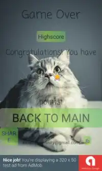 Cat Edition Math Training Game Screen Shot 5