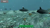 Fish Feed Simulator Screen Shot 3