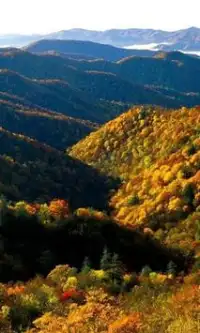 Tennessee Jigsaw Puzzles Screen Shot 2