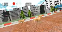 Dog Racing : Labrador Screen Shot 0