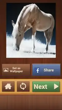 Horse Games - Jigsaw Puzzles Free Screen Shot 6