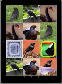 Игра на память. Птицы. 6  Screen Shot 16
