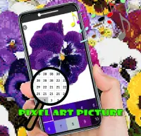 Pansy Flowers Color By Number-Pixel Art Screen Shot 2