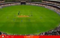 T20 Cricket Game 2017 Screen Shot 8