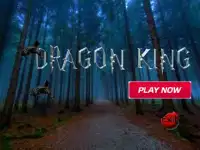 Dragon King Screen Shot 0