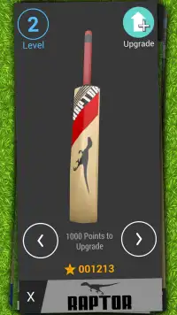 Cricket Pro 19 Screen Shot 5