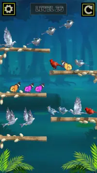 Colored Bird Sort Puzzle Screen Shot 1