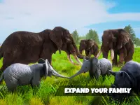 Simulatore di elefanti Screen Shot 12