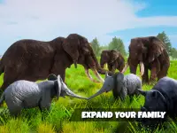 Game Simulator Gajah Super Screen Shot 12