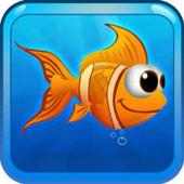 Floppy Fish: download latest movies and songs