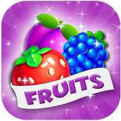 Sweet Fruit Story