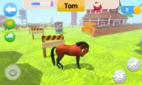 Horse Home Screen Shot 4