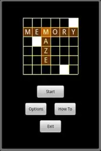 Memory Maze Screen Shot 0