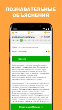 QuizzClub: онлайн викторина Screen Shot 1