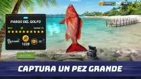 Fishing Clash: Juego de pesca Screen Shot 1