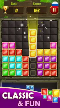 Block Puzzle: деревянный блок - игра-головоломка Screen Shot 5