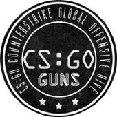 CS Guns Shoot