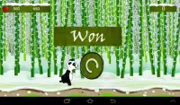 Panda Run Screen Shot 6