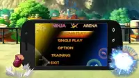 Arena Ninja Screen Shot 2
