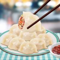 Chicken Dumplings -- Chinese Recipes Maker Game