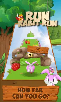 Run Rabbit Run: Bunny Dash, Crazy Jungle Adventure Screen Shot 2