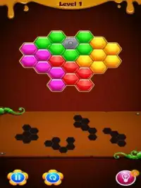 Roka Blocks Game - Fun & Hexagon Puzzle Screen Shot 9