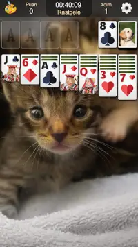 Solitaire Klasik Kart Oyunları Screen Shot 4