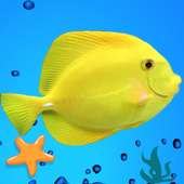Yellow Fishy