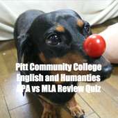 APA & MLA Review Terms