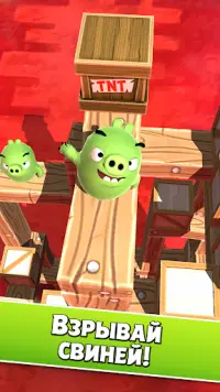 Angry Birds AR: Isle of Pigs Screen Shot 2