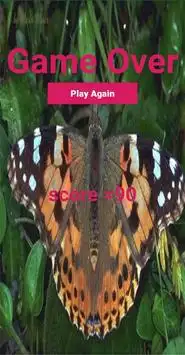 Lady Butterfly Screen Shot 5