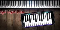 Real Organ Piano & Professional Piano Screen Shot 2