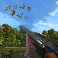 The Hunt: Wild Duck Hunting Season