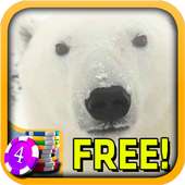 3D Polar Bear Slots - Free
