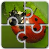 Uğur Böceği HD Jigsaw Yapboz Ücretsiz