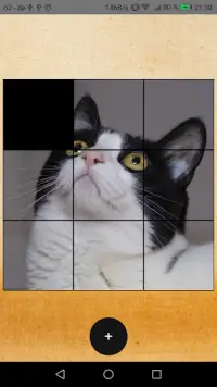 Cats Sliding Puzzle Screen Shot 0