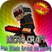 Micro Craft