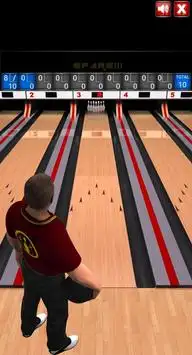 3D Bowling Games Screen Shot 0