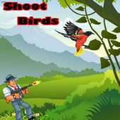 Shoot Birds