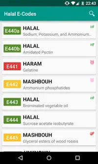 Halal E-Numbers Screen Shot 0