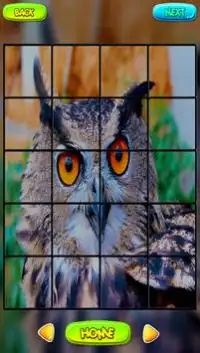 Owl Puzzle Games Screen Shot 1