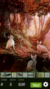 Hidden Object: Cat Island Adventure Screen Shot 1