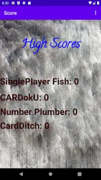 Single Player Card Games Screen Shot 7