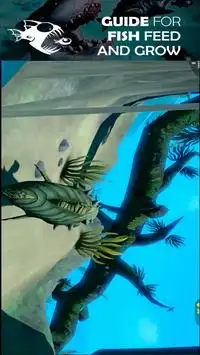 Fish Feeding Screen Shot 1